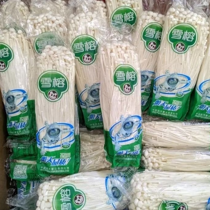 

Jamur Enoki 1 pcs