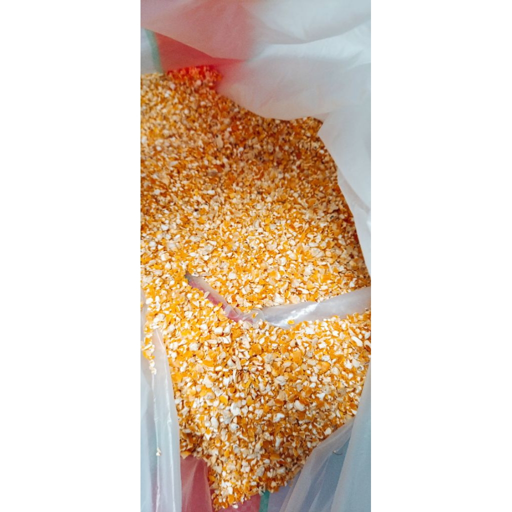 

Beras jagung /jagung giling murni 100%