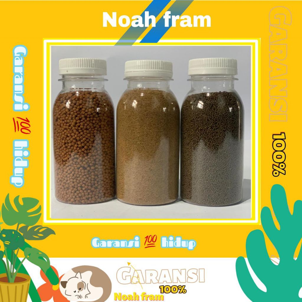 pelet ikan kecil/pelet Guppy/peletmolly