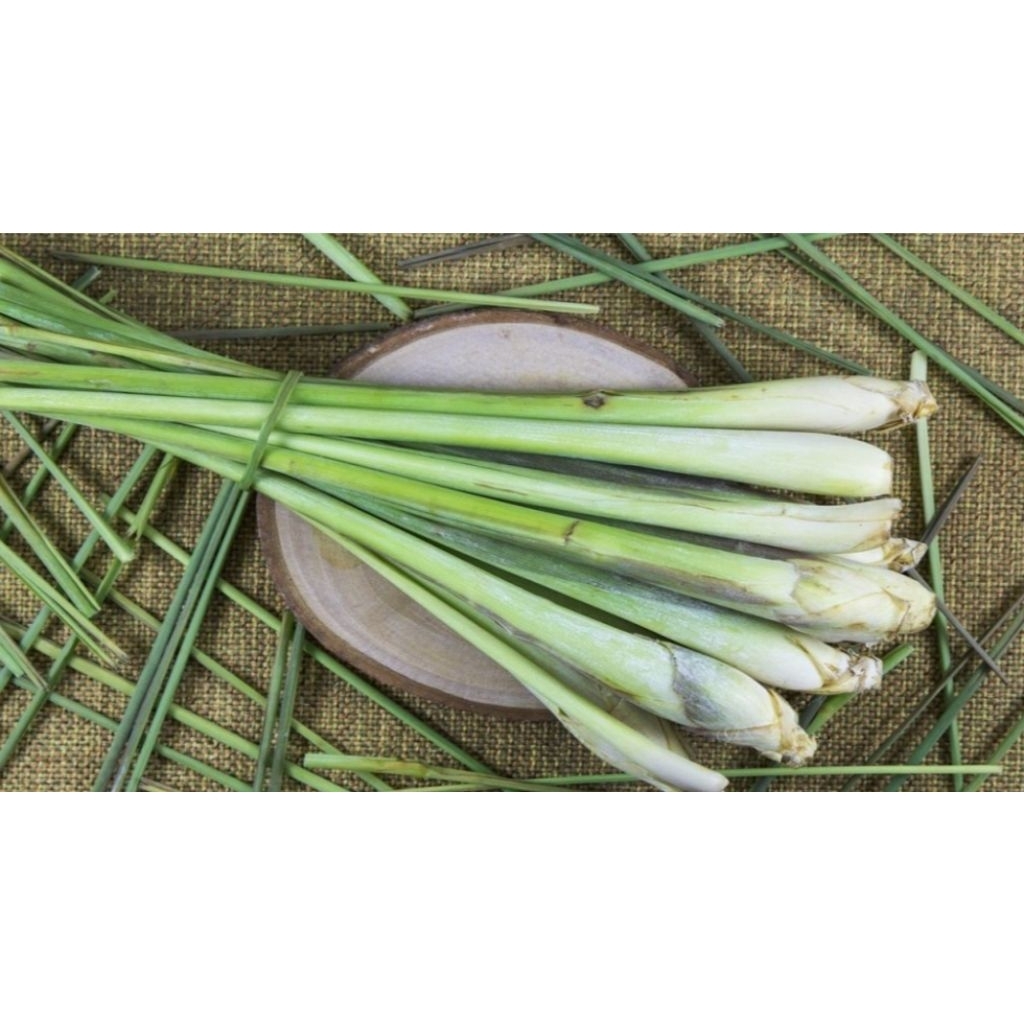 

serai bumbu dapur fresh