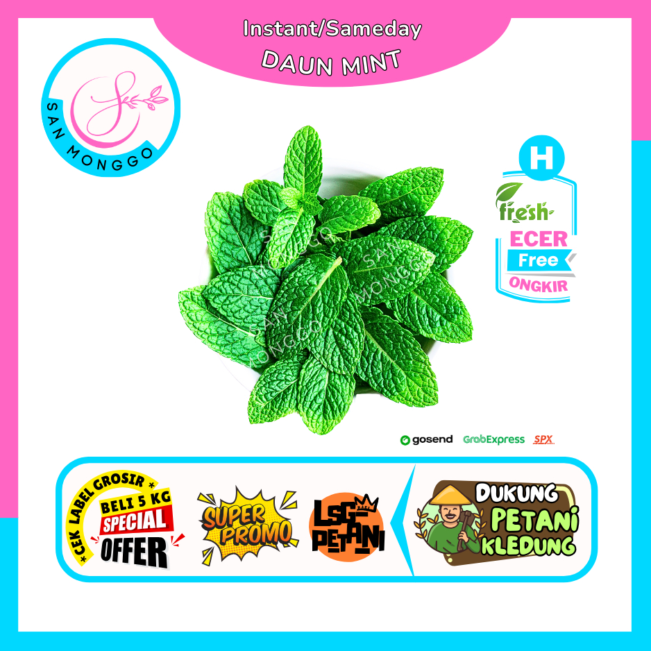 

Sanmonggoo >> Daun Mint -- Hasil Bumi Sindoro Sumbing Ecer (H)