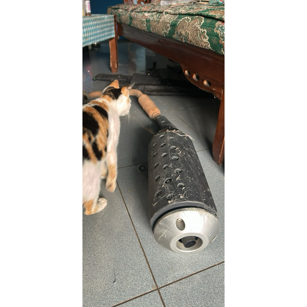 knalpot standart xsr155 original