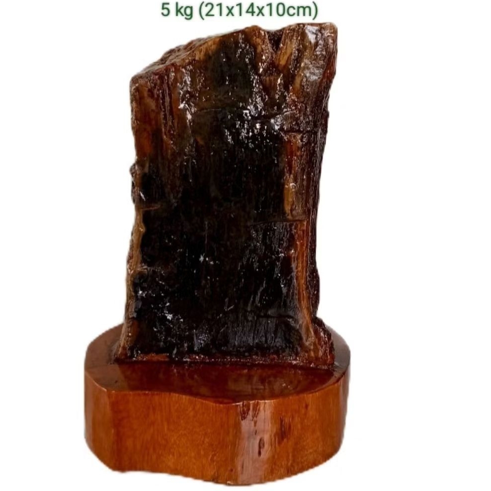 batu hias suiseki fosil kayu galih kelor hitam(123)