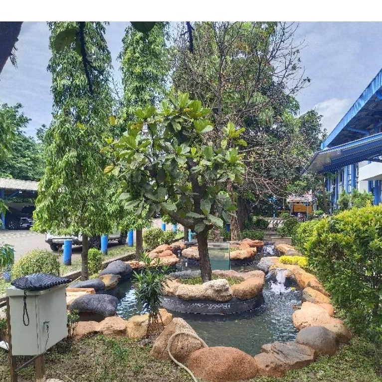 kolam tebing natural kolam koi