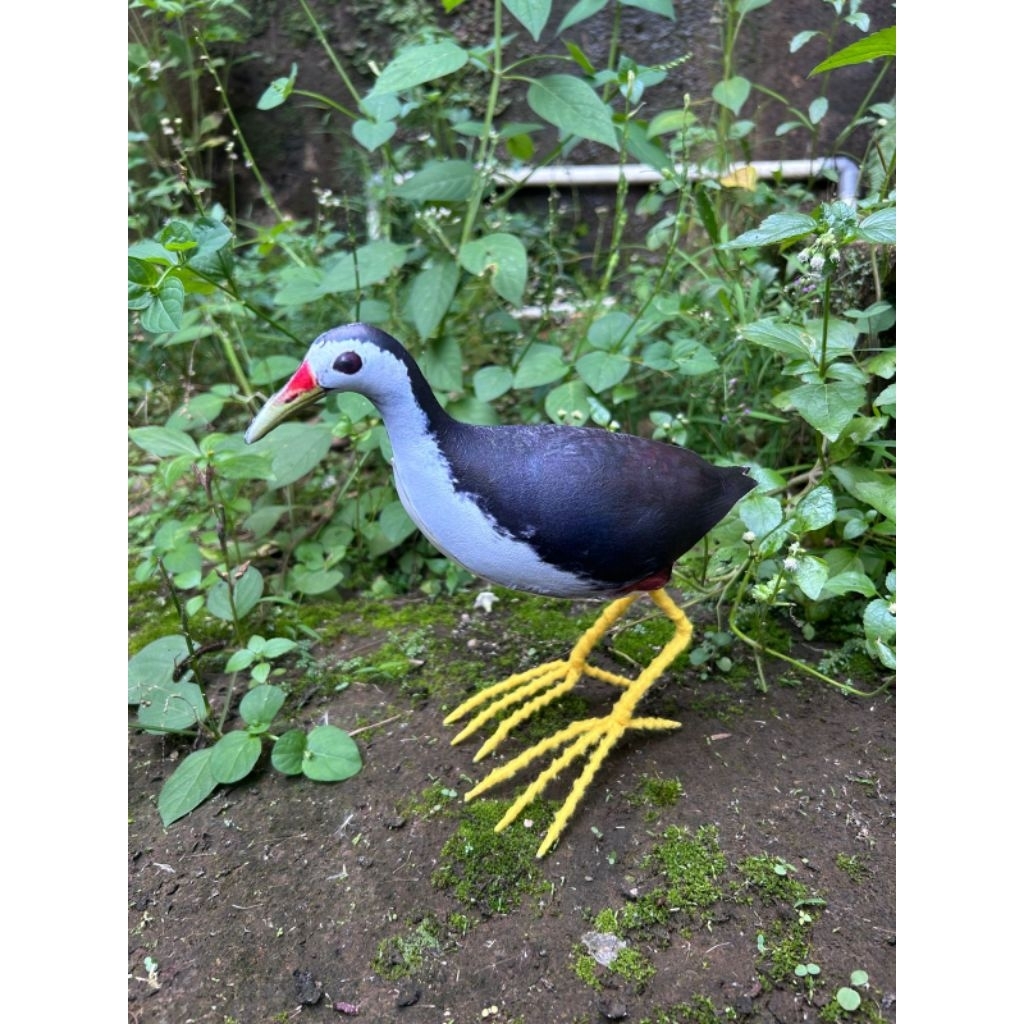 Patung Jontrot Burung ruak ruak