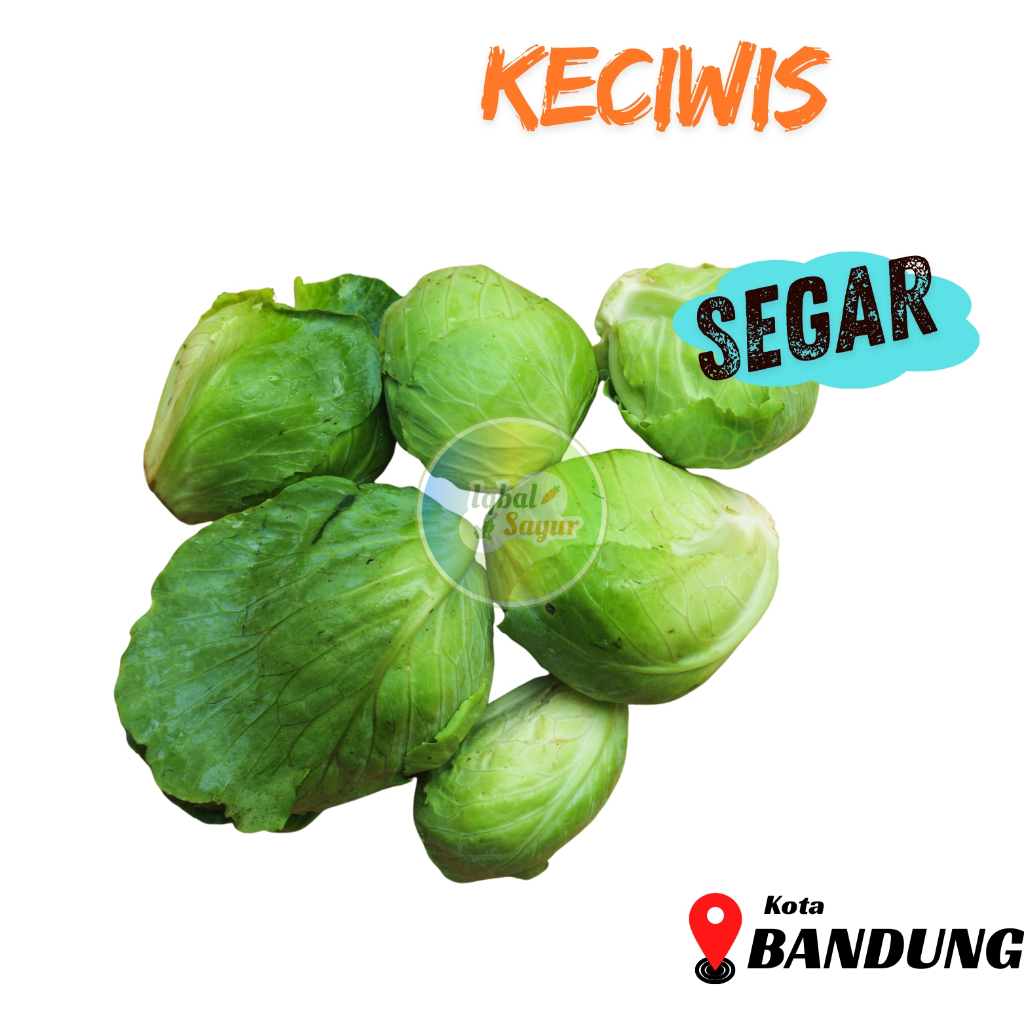 

Keciwis Segar Bandung