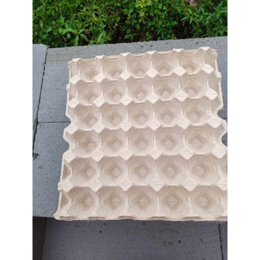 Egg Tray karton 30 butir telur Ayam/Bebek/wadah telur