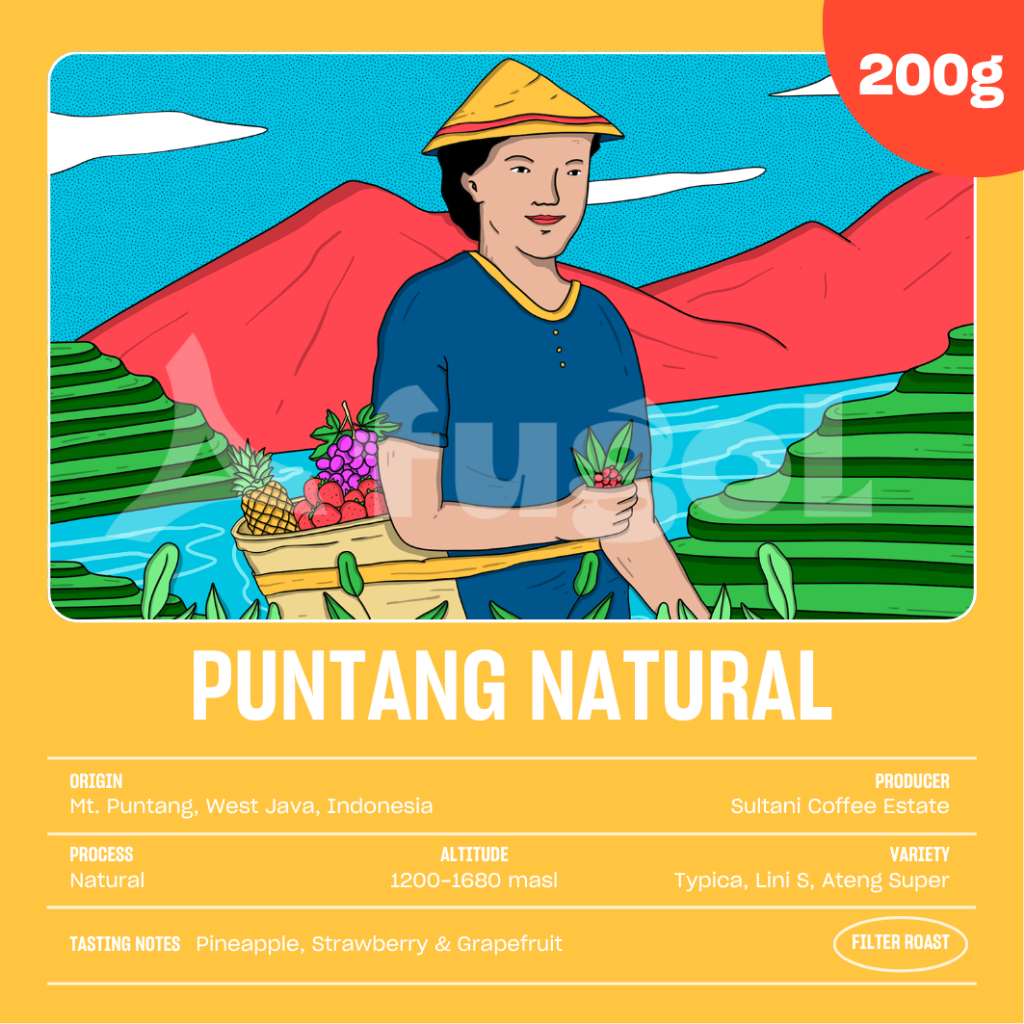 

Kopi Arabika PUNTANG NATURAL (200 gr) Specialty Coffee Beans