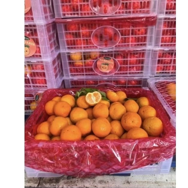 

jeruk wogan enak ukuran sedang