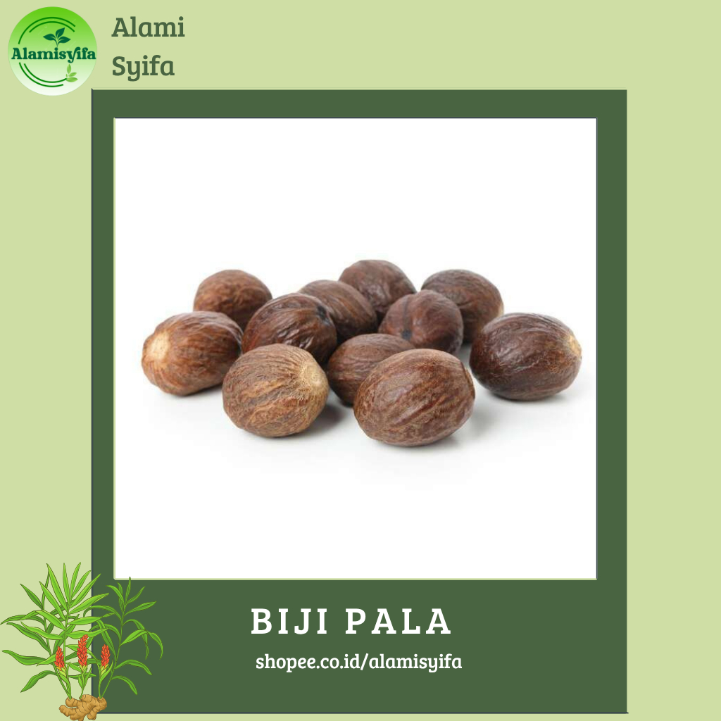 

Biji Pala Kering 100% Alami Pala Kering Berat 250 gram