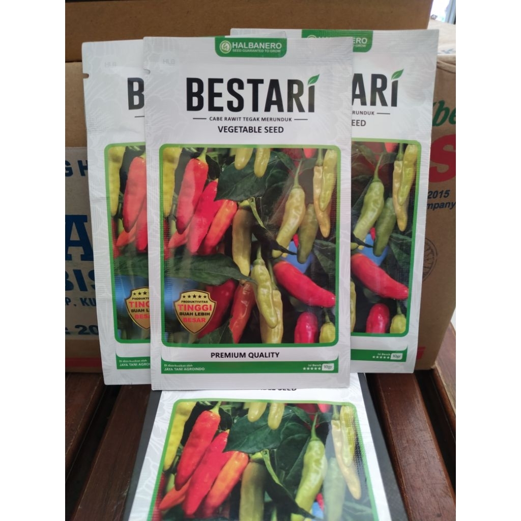 cabe rawit bestari halbanero Bestari cabe rawit halbanero