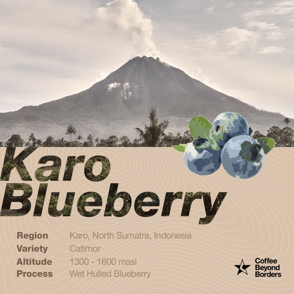 

Arabica Green Beans - Karo Blueberry