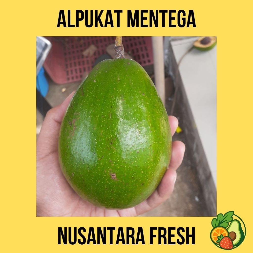 

ALPUKAT MENTEGA SEDANG I 1 KG Isi 3 - 5 I BERGARANSI BUAH