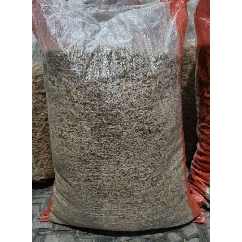 Sekam padi mentah / merang padi kering