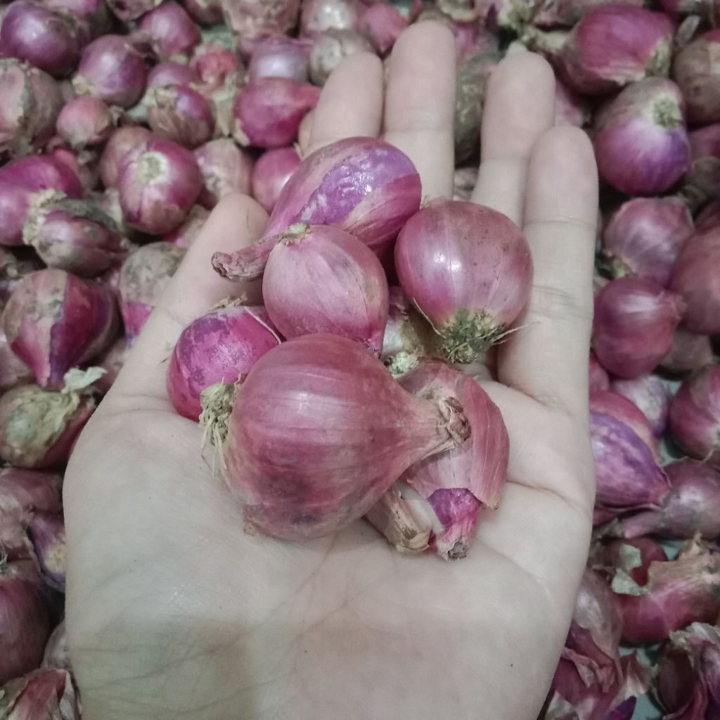 

Bawang merah bersih berat 500gram