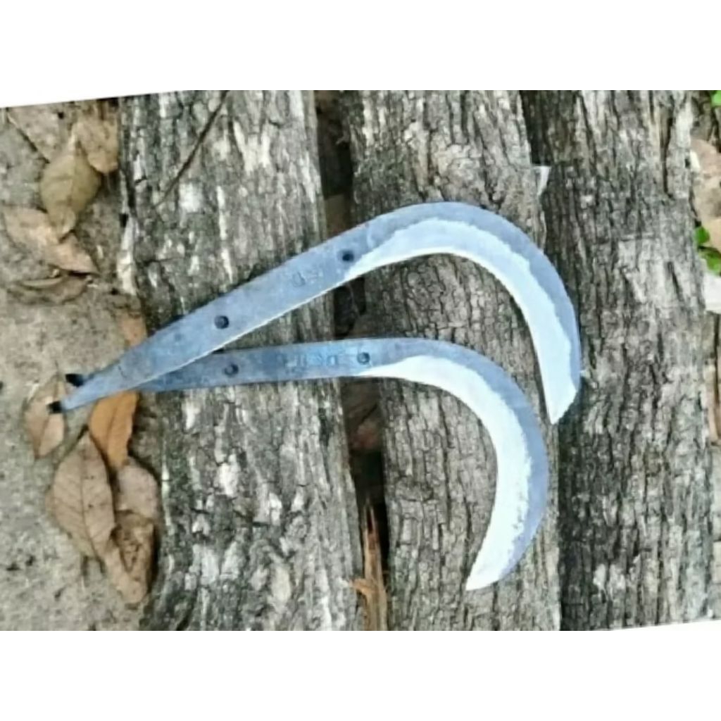 

kial buah siap pakai