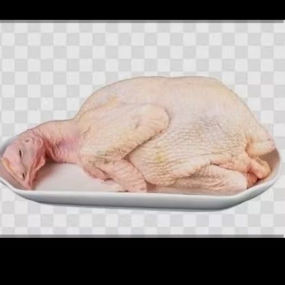 

AYAM POTONG BOILER FRESH SUDAH BERSIH (BB 0.7- 1KG) BOBOT HIDUP 1KG
