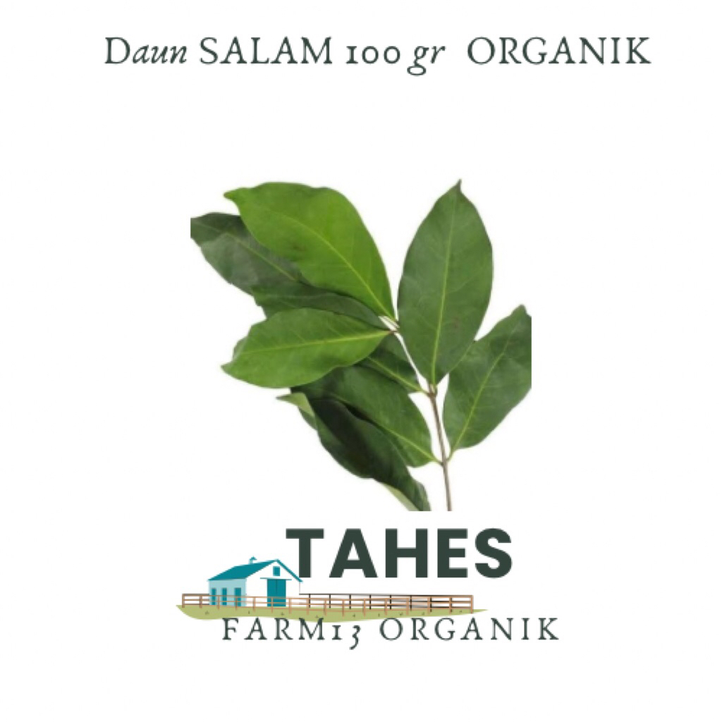 

Daun Salam Segar Fresh Dari Pohon Organik 100gr