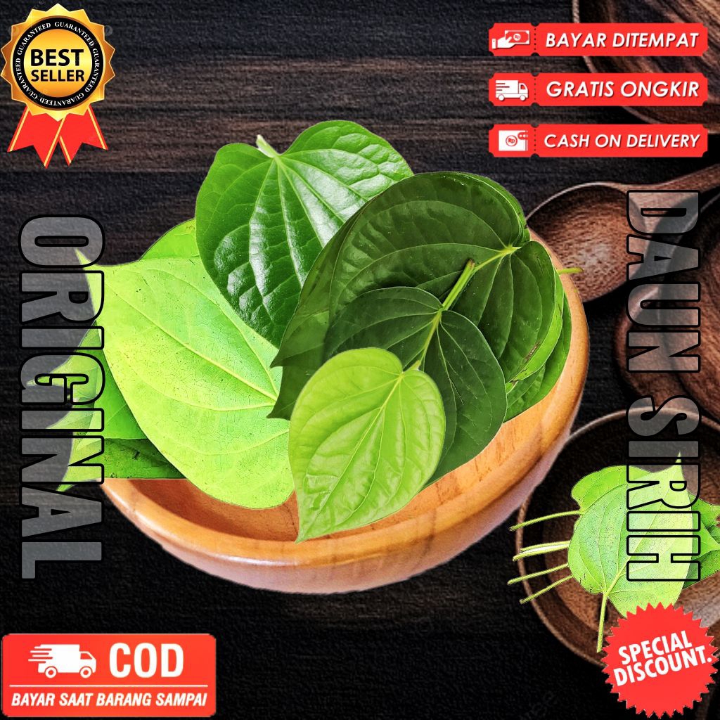 

Daun sirih tulang sejajar segar fresh dipetik dadakan herbal alami obat non medis 25 lembar