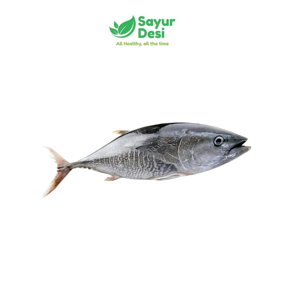 

Ikan Tuna 500 Gram Sayur Desi