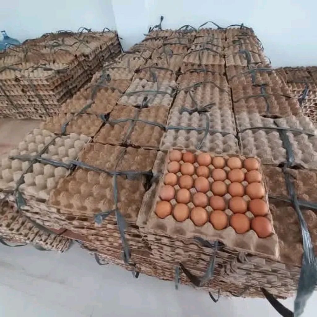 

TELOR AYAM NEGERI FRESH GRADE A 1 kg isi 15 -16 pcs