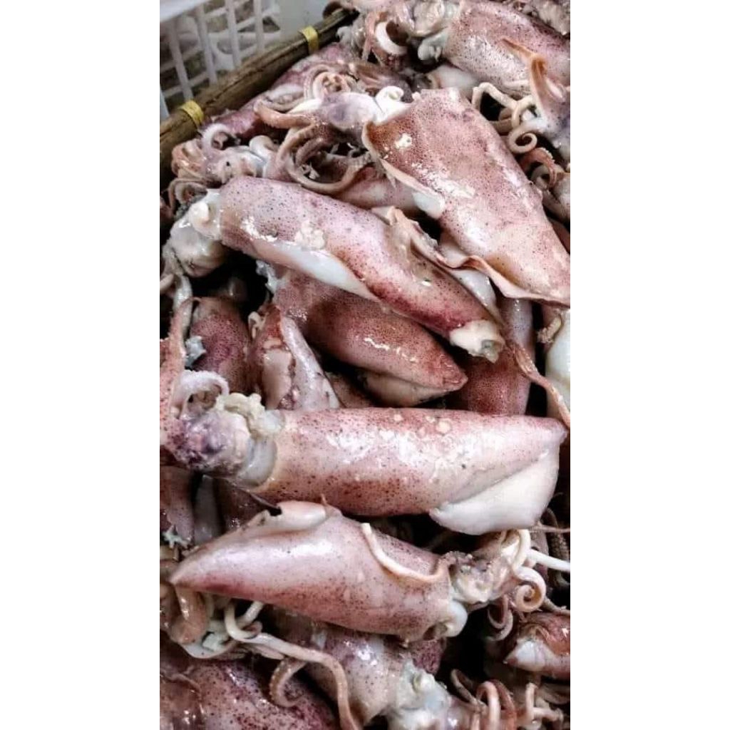 

cumi asin 500 gram...rasa enak beli 1kg lebih murah