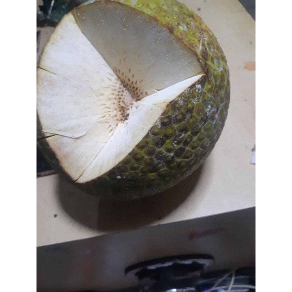 

buah sukun suQun