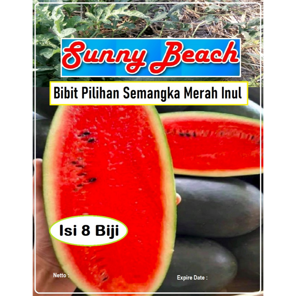 Bibit Pilihan Semangka Merah Inul | Biji Benih Semangka Merah Lonjong Semangka Inul