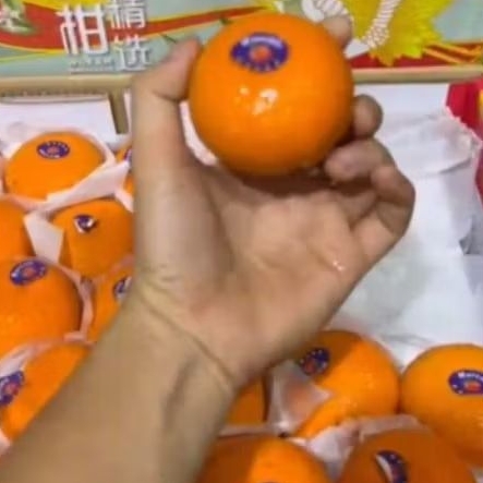 

Buah Jeruk Wokam Per 1 dus karton