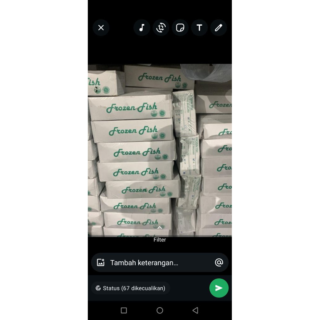 

FILLET DORY PERDUS (ISI 10KG/10PACK)