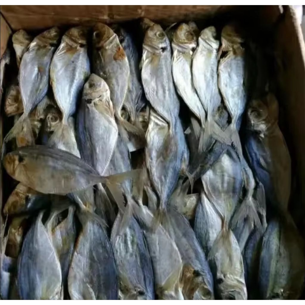 

ikan asin selar murah kemasan 10rb
