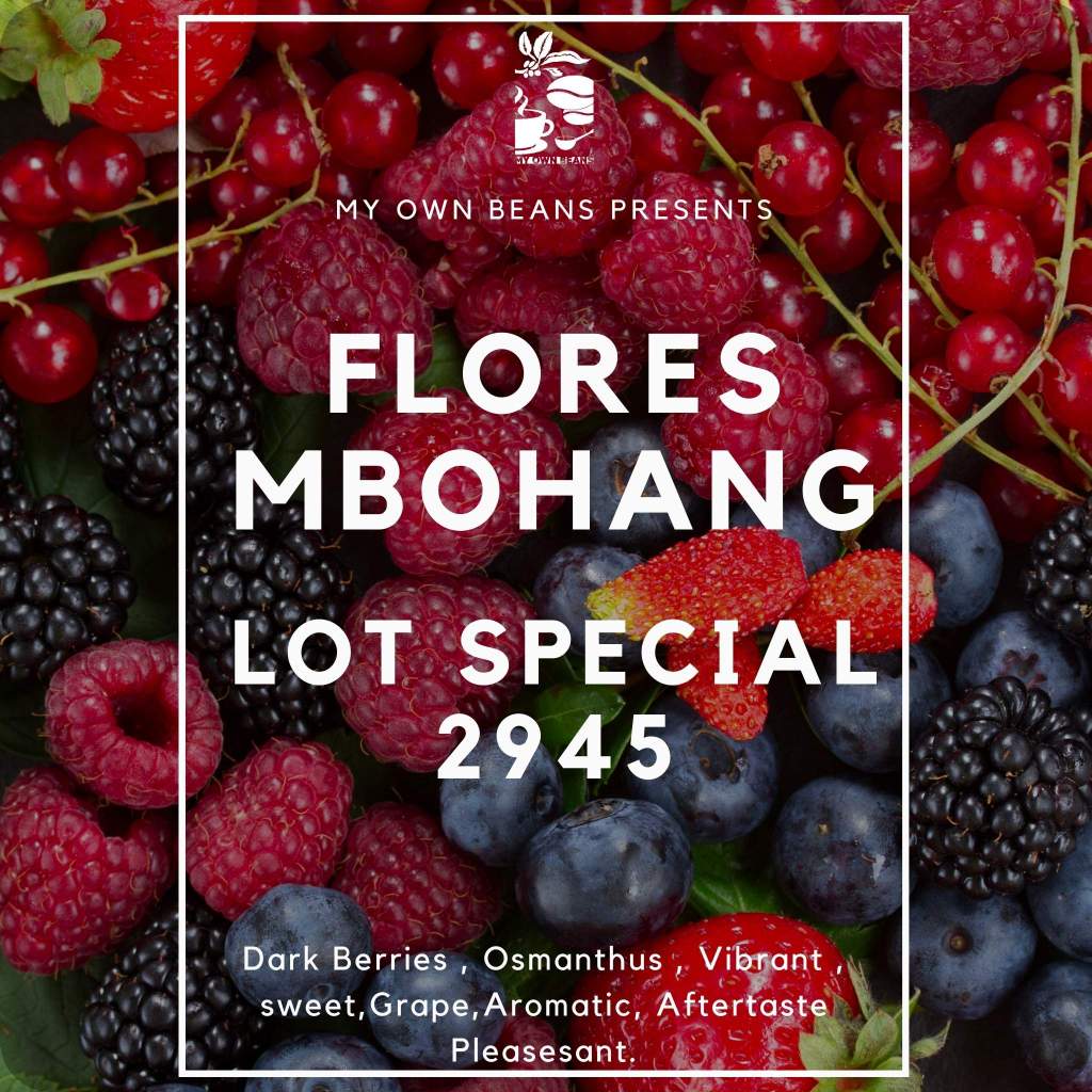 

FLORES MBOHANG LOT SPECIAL 2945 Speciality Coffee BY MY OWN BEANS