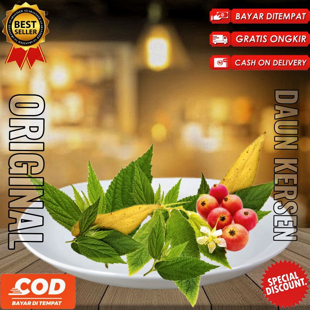 

Daun kersen daun talok daun ceri segar fresh dipetik dadakan 500gr