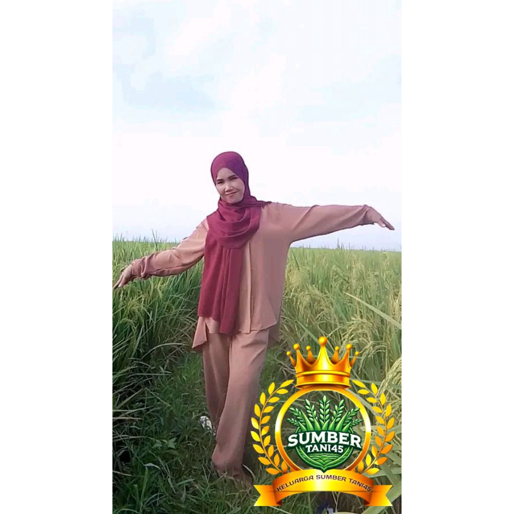 

PADI PMJ 01 PADI MALAY SUPER JUMBO 5KG ORI