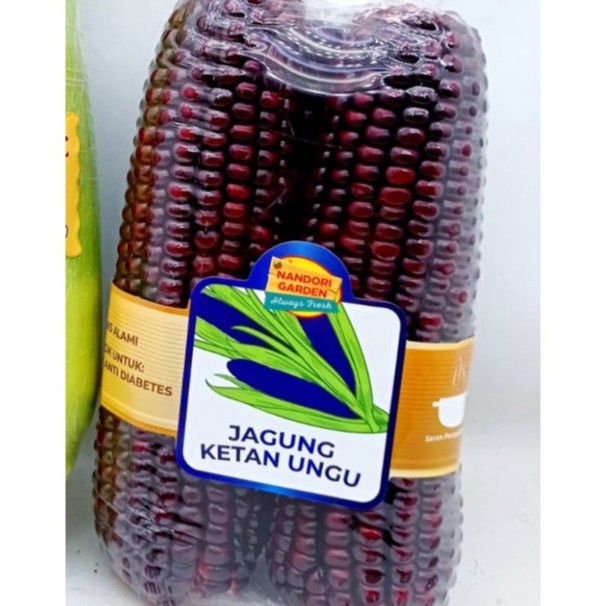 Jagung Ketan Ungu