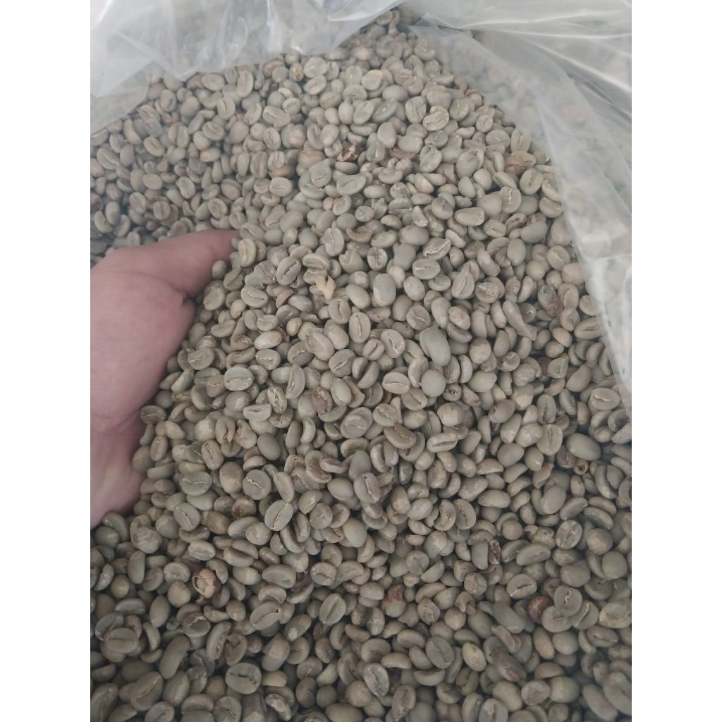 

greenbean & roastedbean