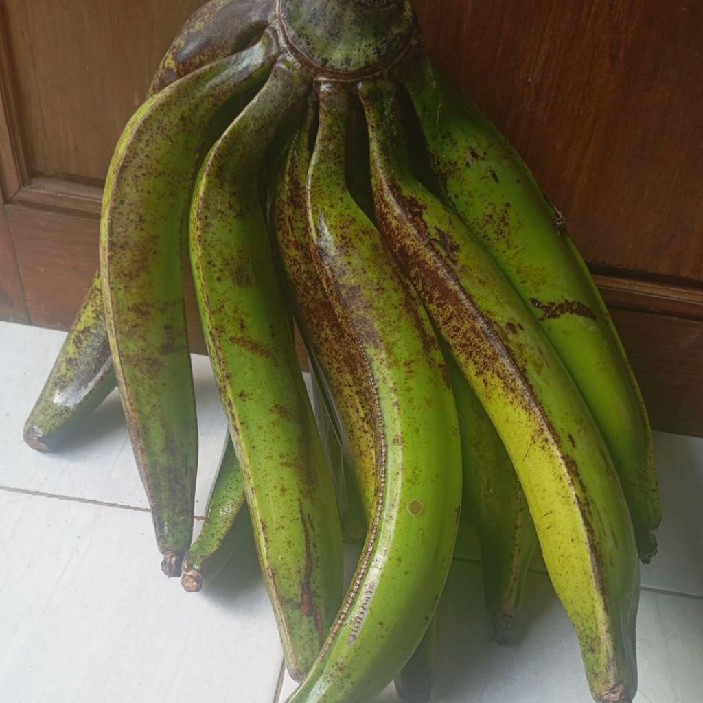 

pisang tanduk manis harga/pcs