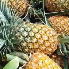 

Nanas Subang JBP Fresh | 1 butir