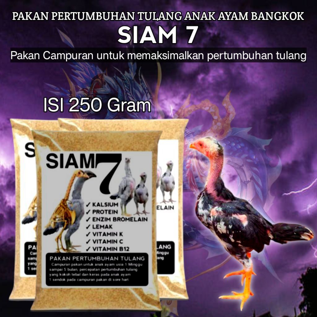 Ayam Bangkok pakan campuran untuk mempercepat pertumbuhan tulang ayam Siam 7