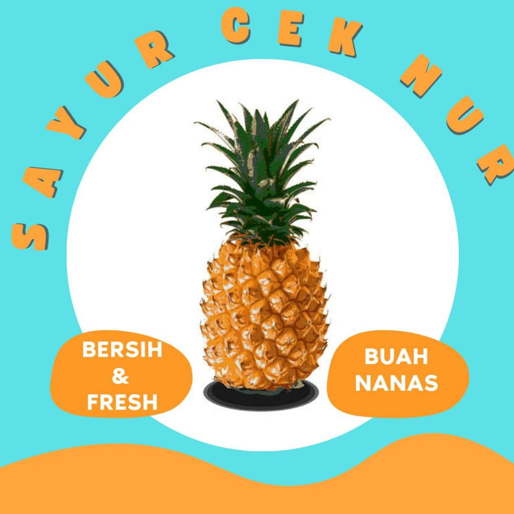 

BUAH NANAS - INSTAN PALEMBANG