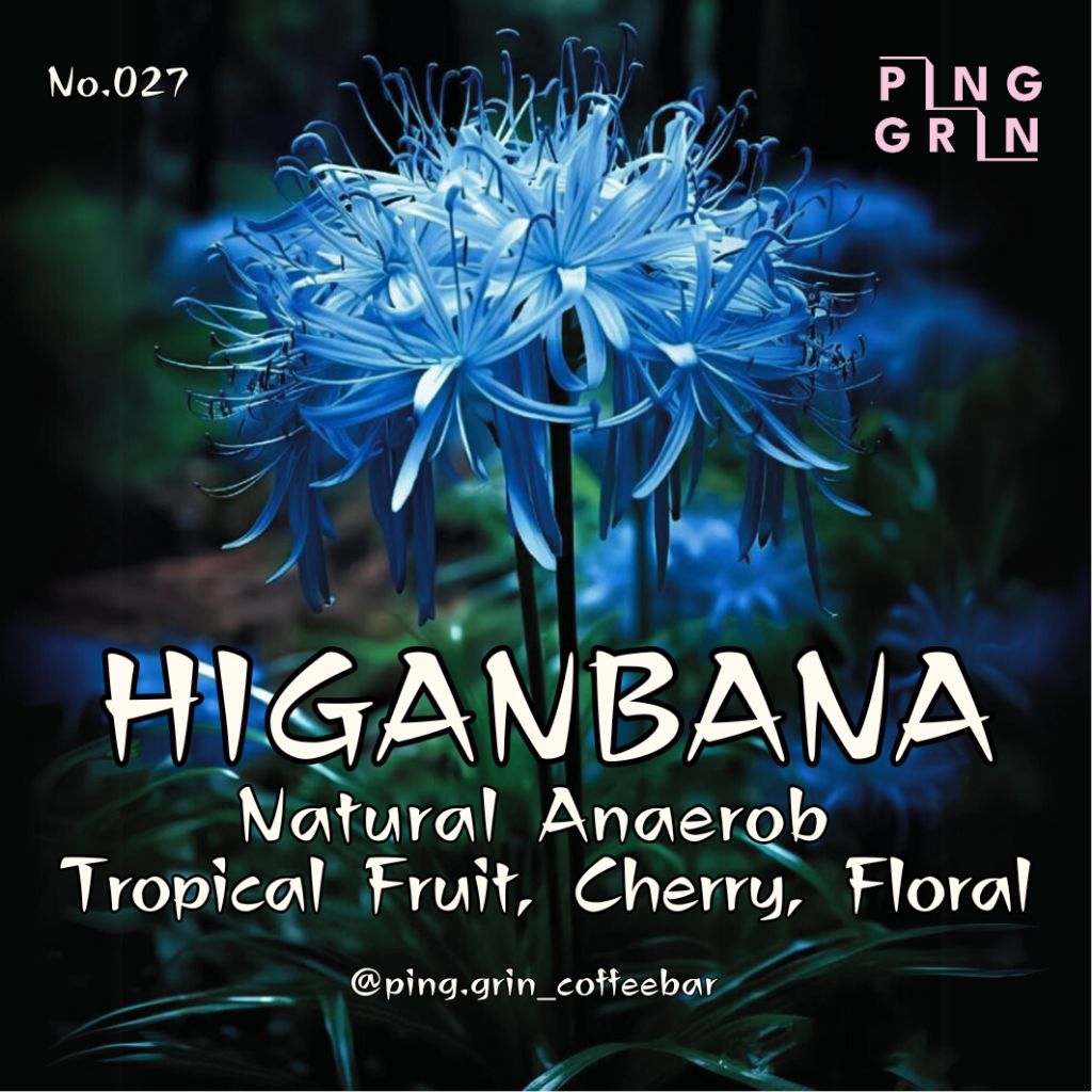 

Higanbana - Natural Anaerob - Filter Arabica Beans No.27