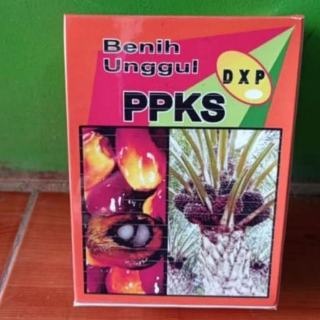 DXP 239 UNGGUL