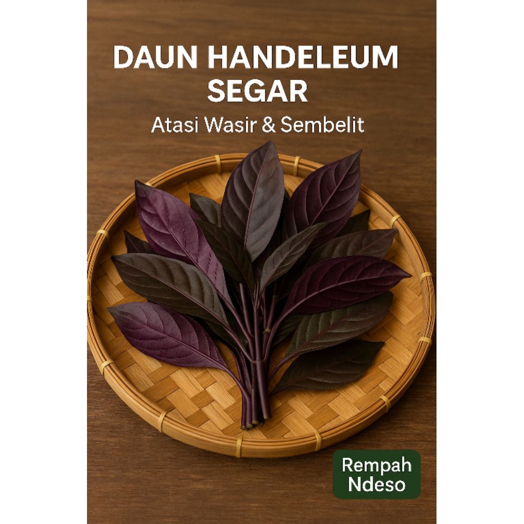 

Daun Ungu (Handeuleum) Segar 100 Gram (±50 Lembar) | Herbal Alami Atasi Wasir & Sembelit | Pelancar BAB Tradisional