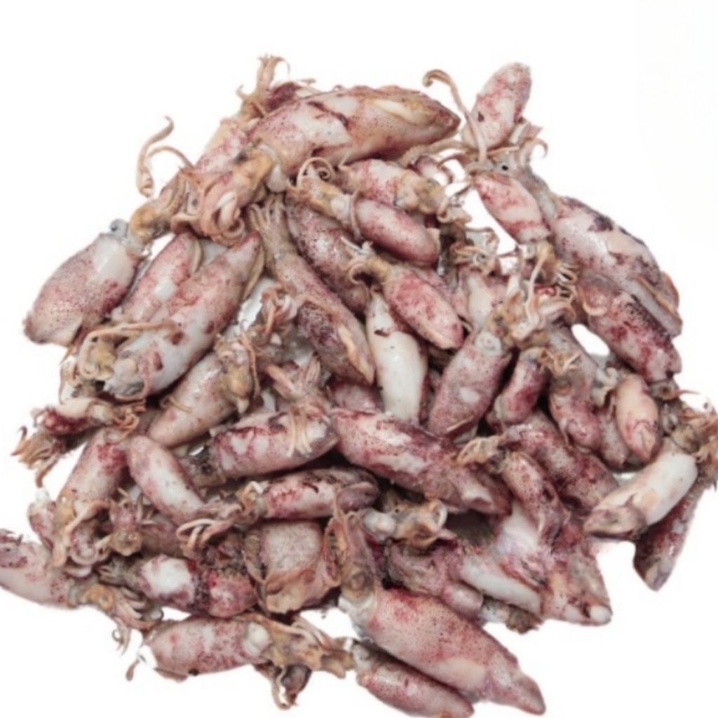 

Kode J. Cumi Asin Baby Kecil Utuh Premium Beku Frozen