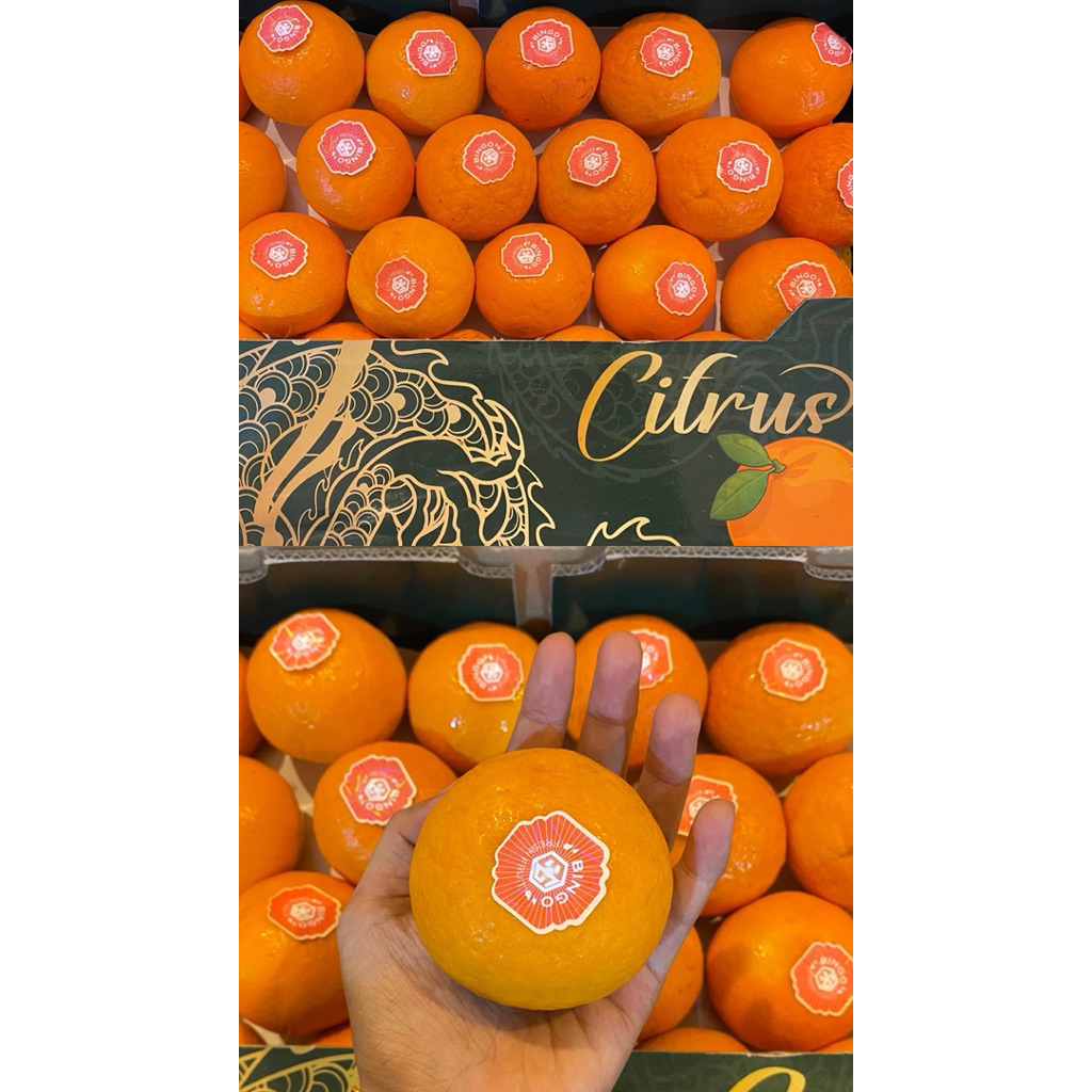 

Jeruk wogan 1kg (jeruk mandarin)