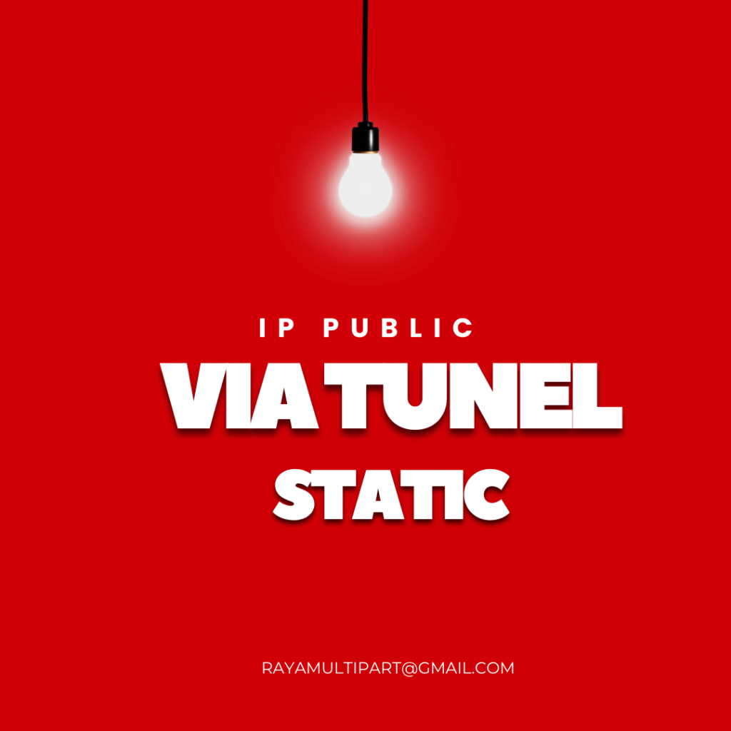 SEWA IP PUBLIC STATIC VIA TUNEL
