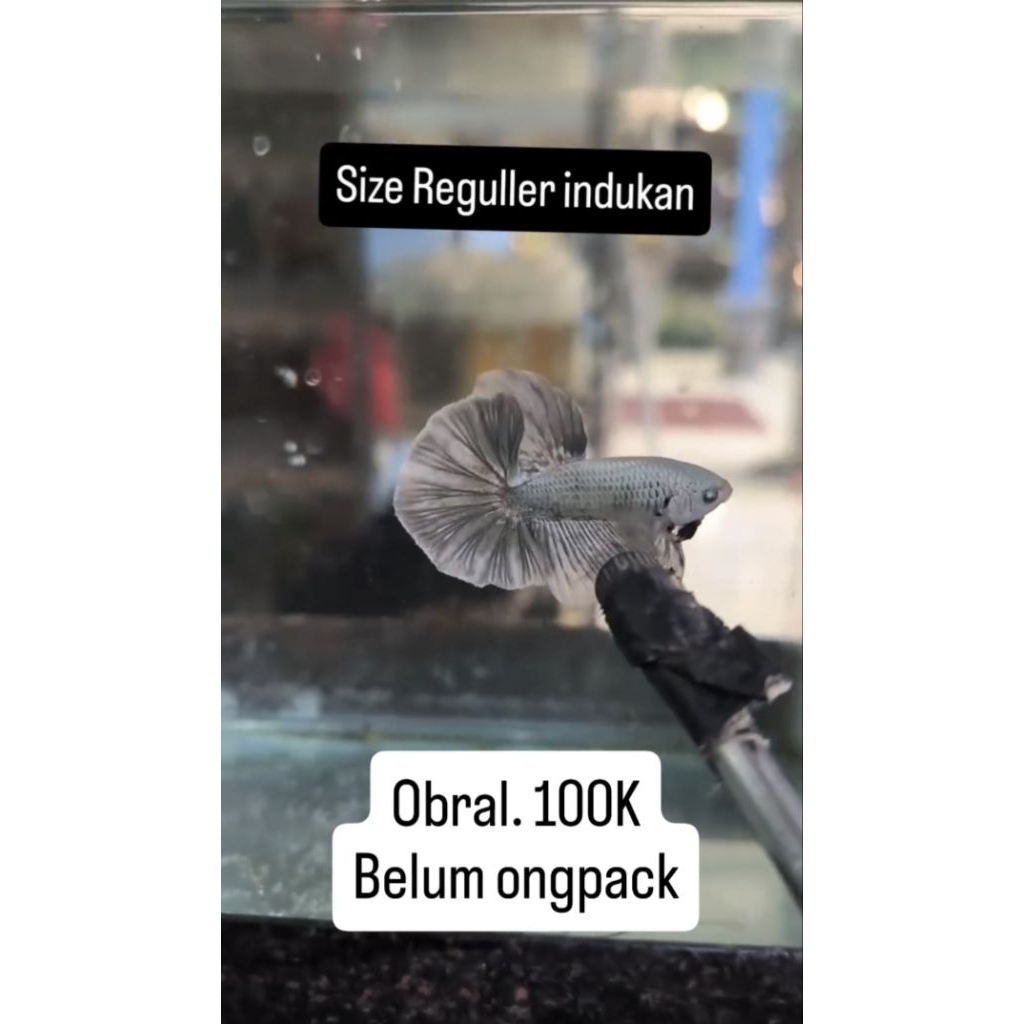 Payment ML HMPK Bester
