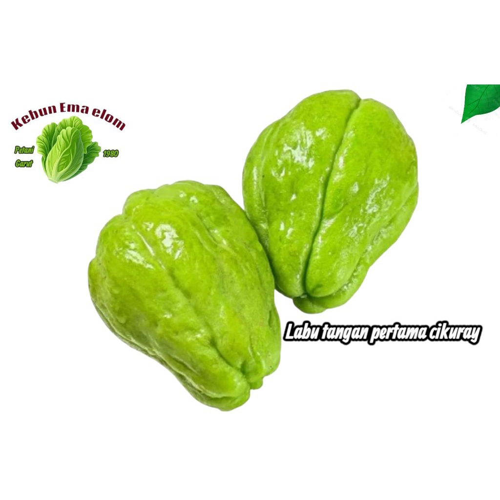 

labu Siam super Cikuray 1kg