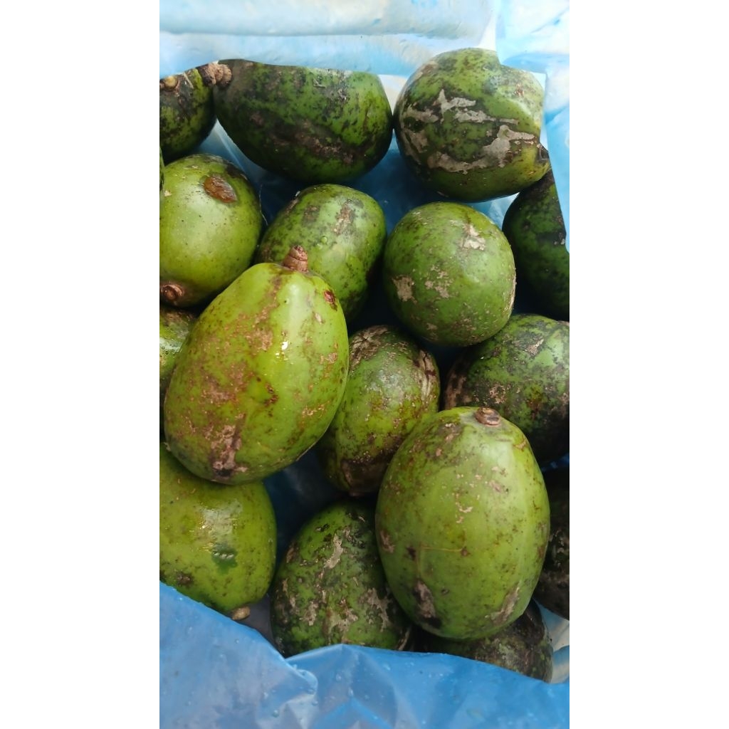 

BUAH KEDONDONG SEGAR, BERAT 1 KG,PENGIRIMAN DARI MEDAN