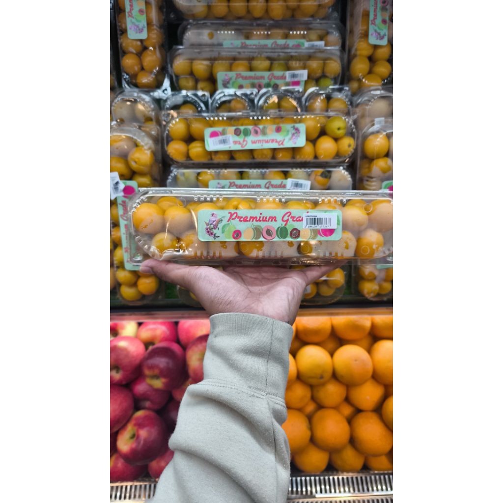 

Buah apricot super segar premium gift pack